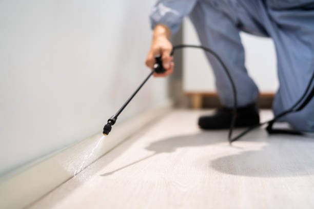 Licensed Rodent Control service in Cedarville, AR - Nex Pest Control