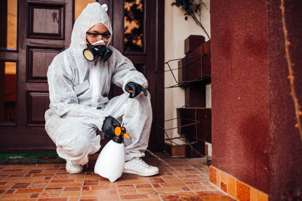 Reliable Rodent Control contractor in Cedarville, AR by Nex Pest Control