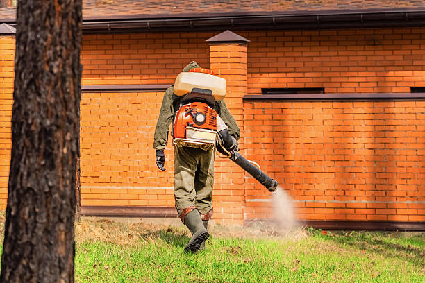 Trusted Ant Control service in Cedarville, AR - Nex Pest Control